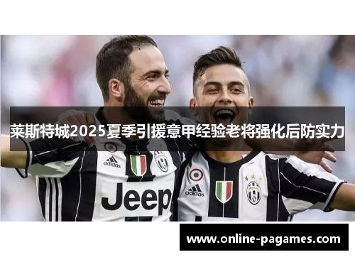 莱斯特城2025夏季引援意甲经验老将强化后防实力 莱斯特城2025夏季引援意甲经验老将强化后防实力